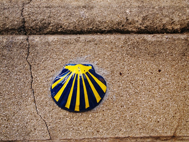 Seashells Religion Symbol Spain Europe Shell
