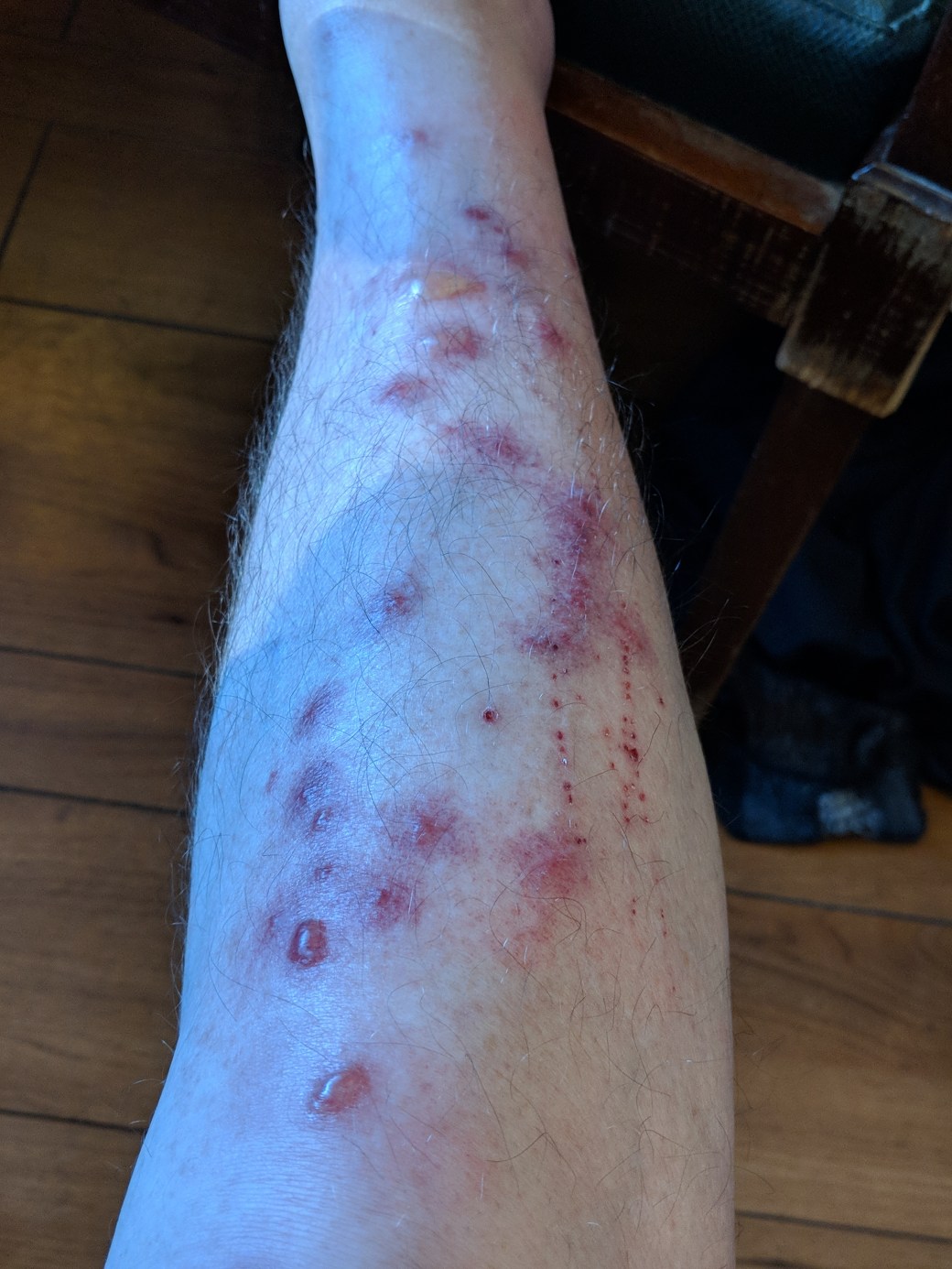 mvimg_20180915_180136